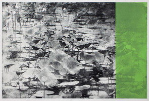 Lotus Radierung Siebdruck Foto-Aquatinta mit Pragung auf Butten 78 x 108 cm
