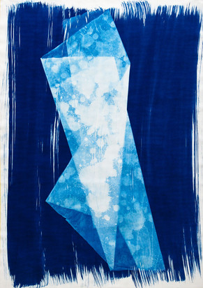 Schweben Nr. 2, 2024, Fotogramm, 100 x 70 cm